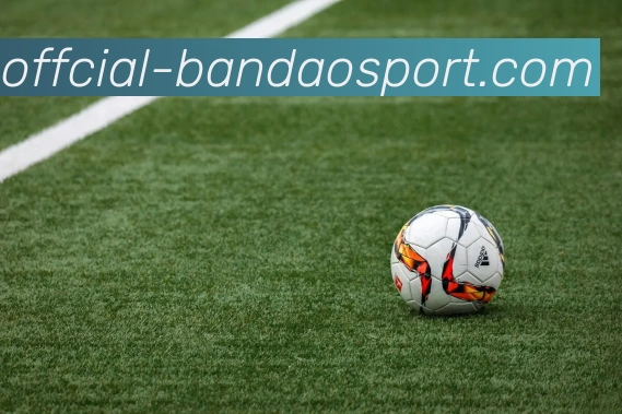 App Interface Preview