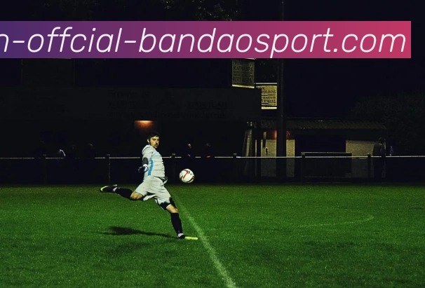 半岛体育APP 封面图